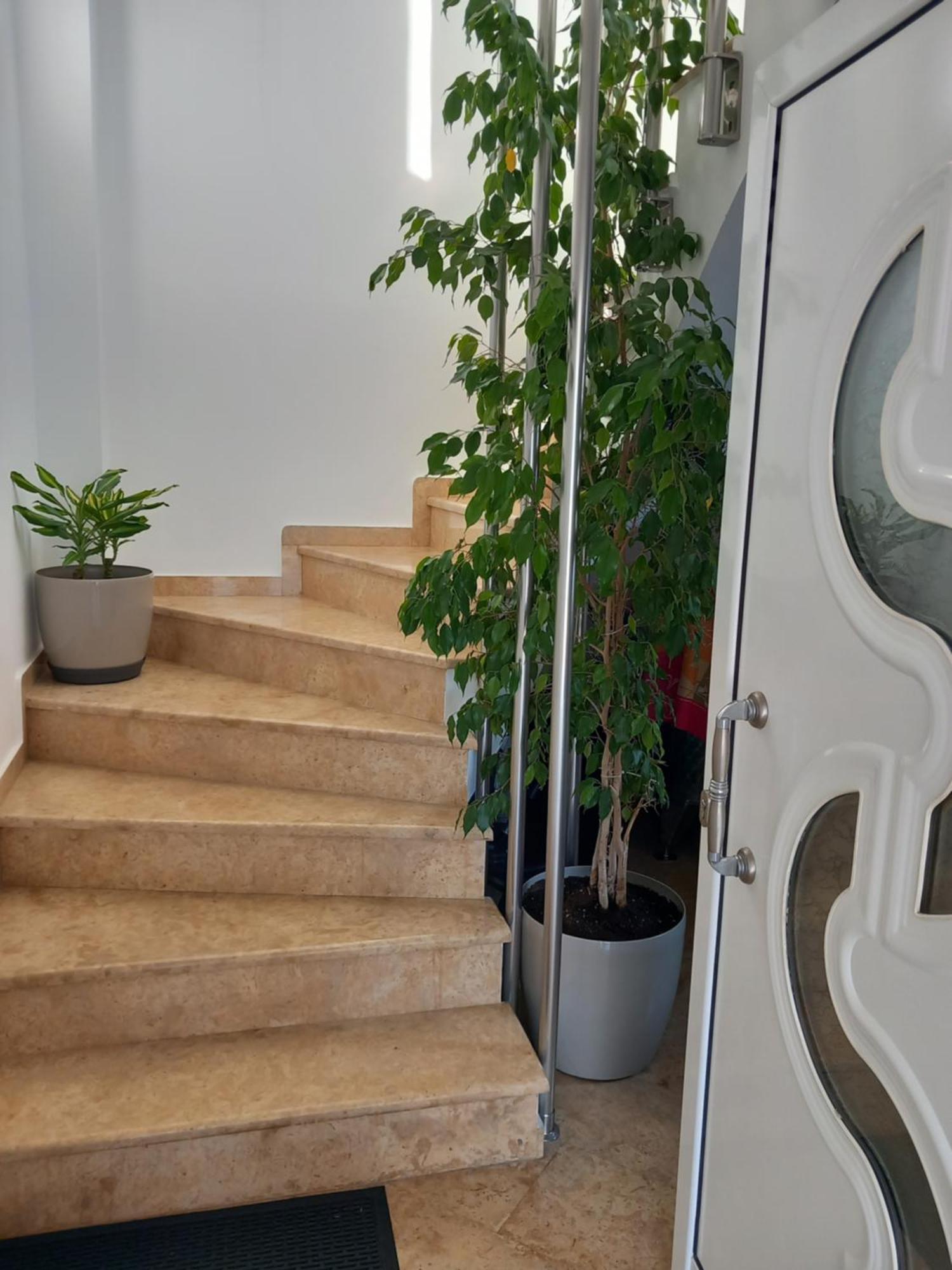 Luxury Apartment Amarynthos Eksteriør bilde