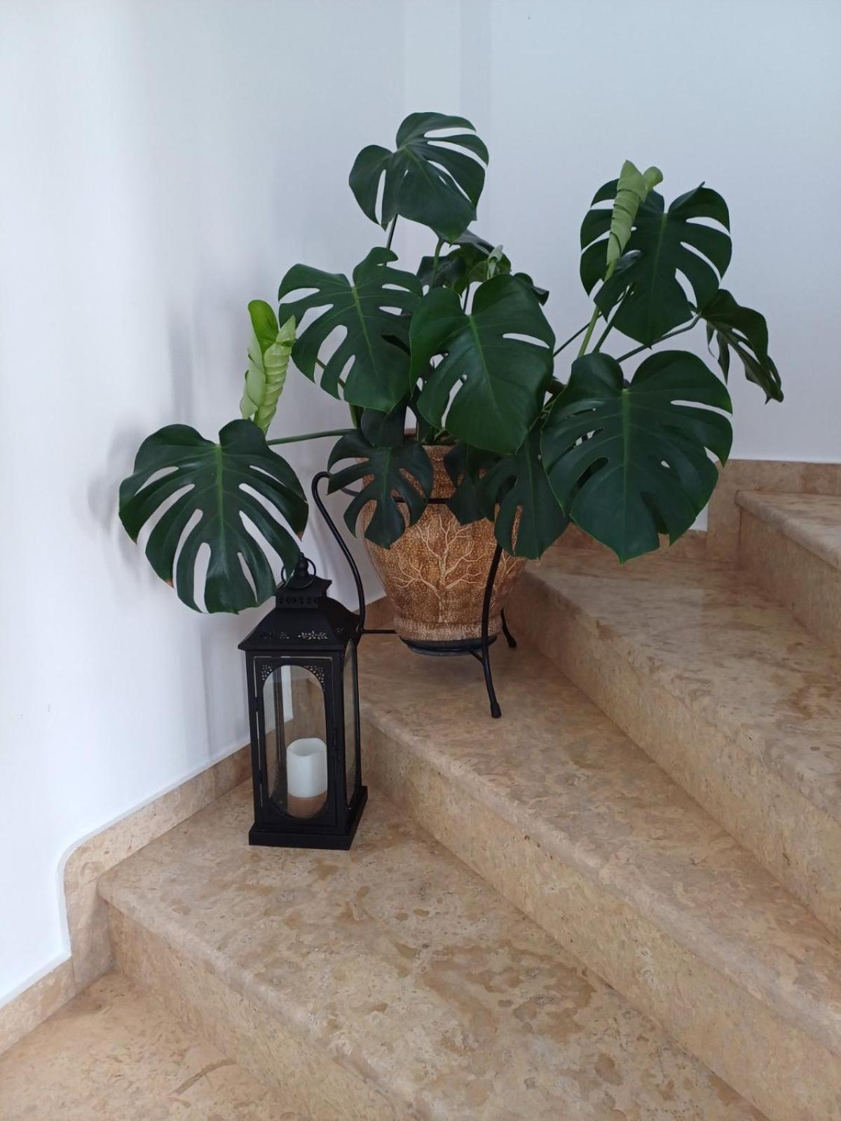 Luxury Apartment Amarynthos Eksteriør bilde